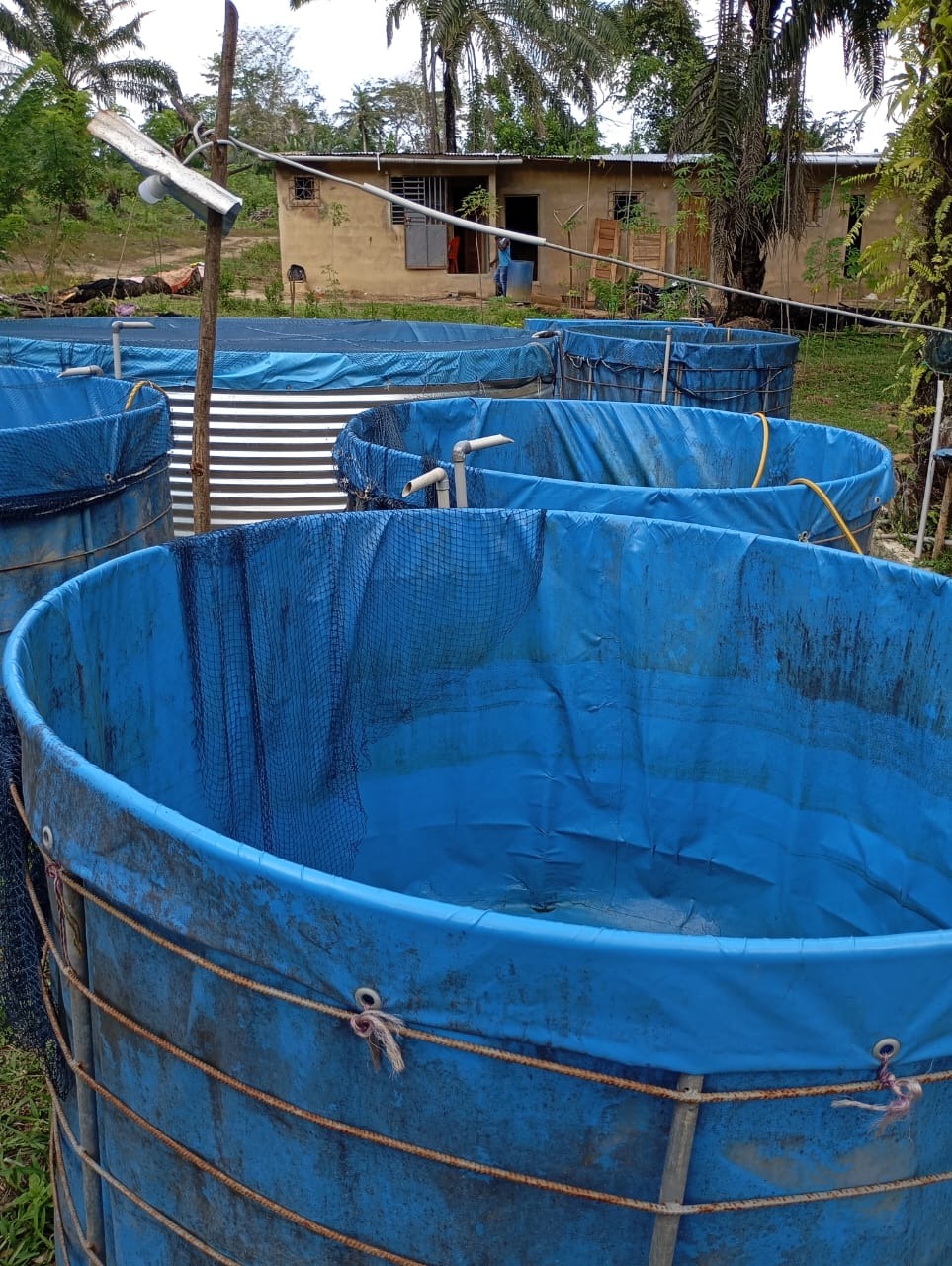 Bassins de production